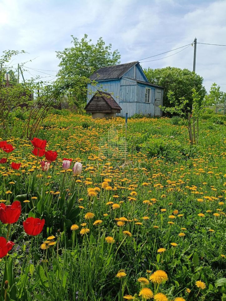 Коттедж/дом село Новоалександрово