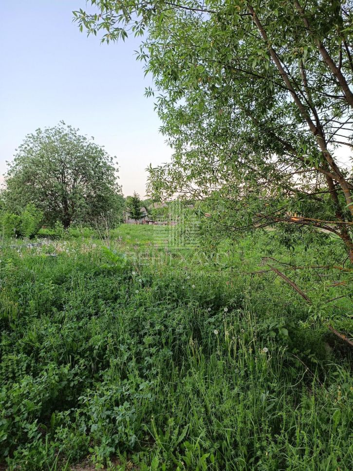 Земельный участок село Новоалександрово