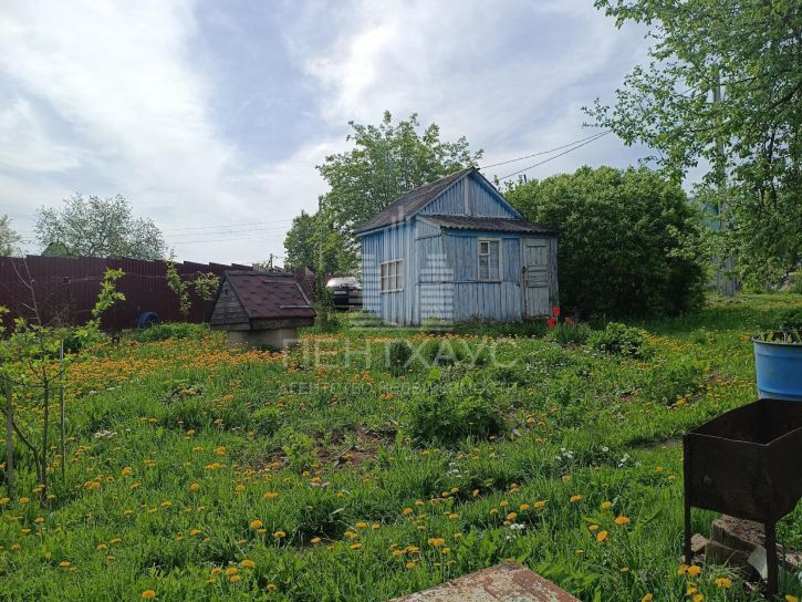 Коттедж/дом село Новоалександрово