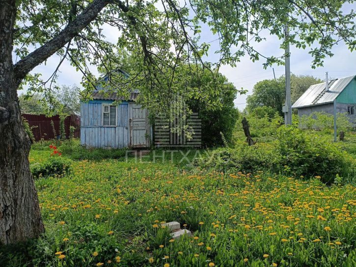 Коттедж/дом село Новоалександрово