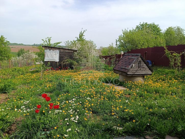 Коттедж/дом село Новоалександрово
